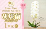 千葉県富津市のふるさと納税を開始しました